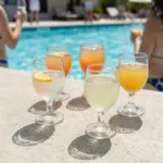 9 Durable Plastic Wine Glasses Perfect for Parties, Pools, and Picnics