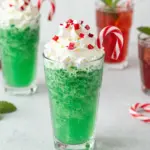 9 Festive Ninja Slushie Recipes for Christmas That’ll Wow Your Guests